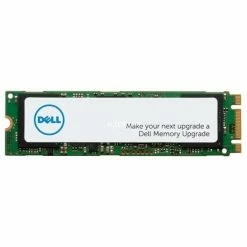 M.2 SSD Dell 256 GB, SSD (PCIe 3.0 X4, NVMe, M.2 2280)